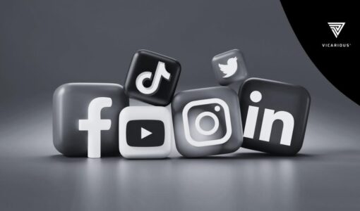 Niches for social media creators