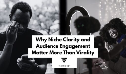 viral content vs niche content,
