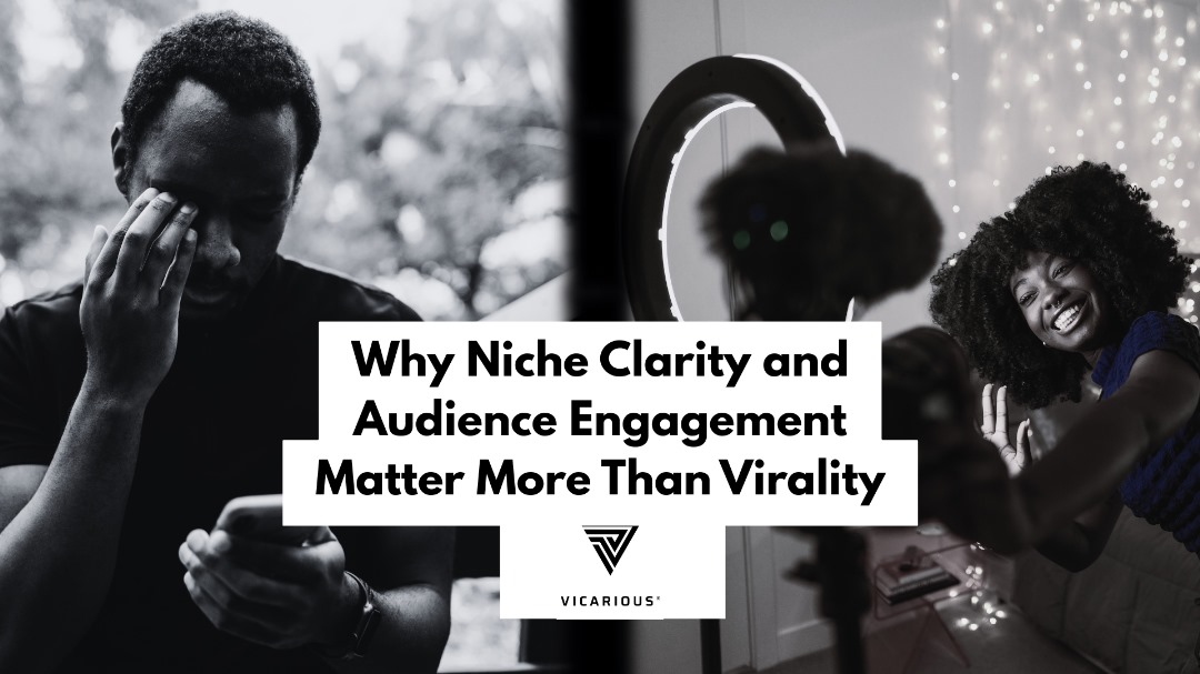 viral content vs niche content,